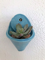 Load image into Gallery viewer, Hanging Succulent &amp; Air Plant Holder
