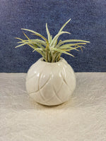 Load image into Gallery viewer, Ceramic Plant Vase - The Pineapple Pot
