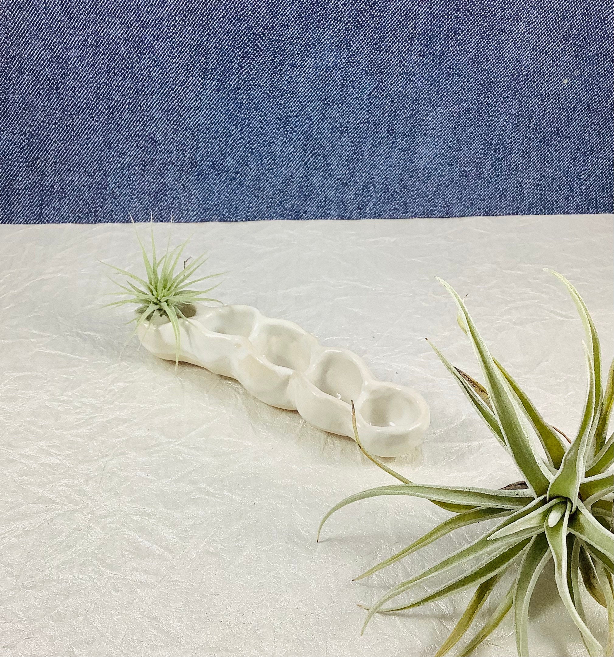 Petite Pea Pod Ceramic Plant Holder